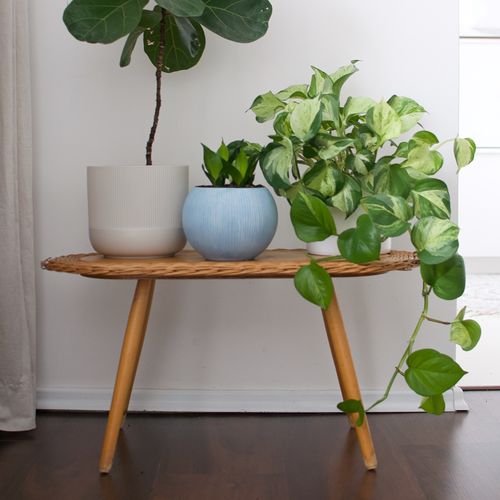 Retro stojan na kvety DLUV